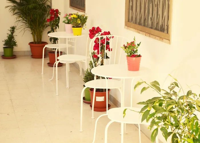 Hostel Olive Tree Bari